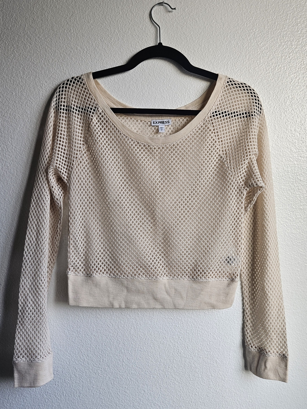 Express Women's Beige Mesh Long-Sleeve Crop Top